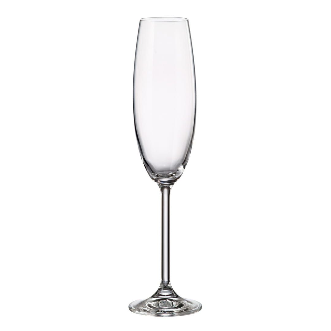 pahar din sticla pentru sampanie